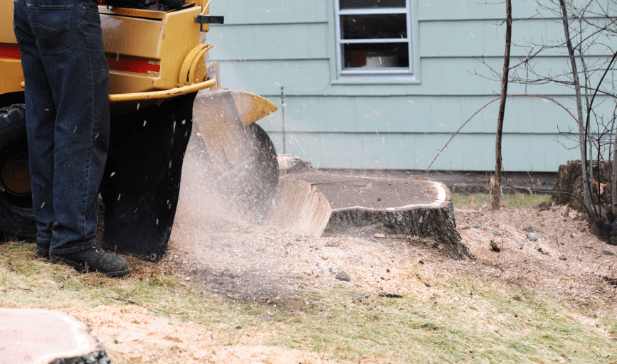 SOTO LANDSCAPING